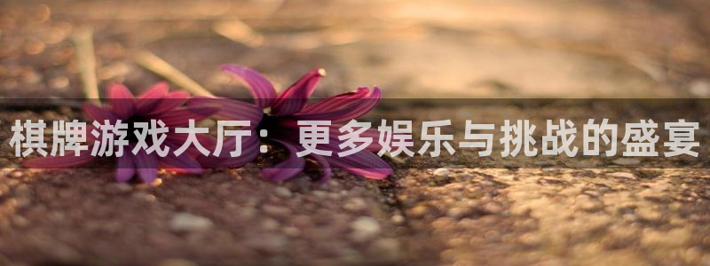 新博官网出款时间查询不到